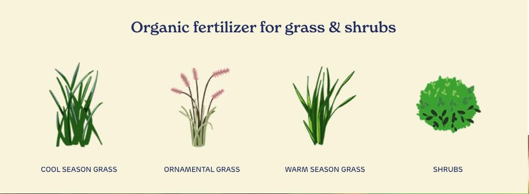 Organic Liquid Lawn Fertilizer with 1% Iron 32 fl. oz. X2515