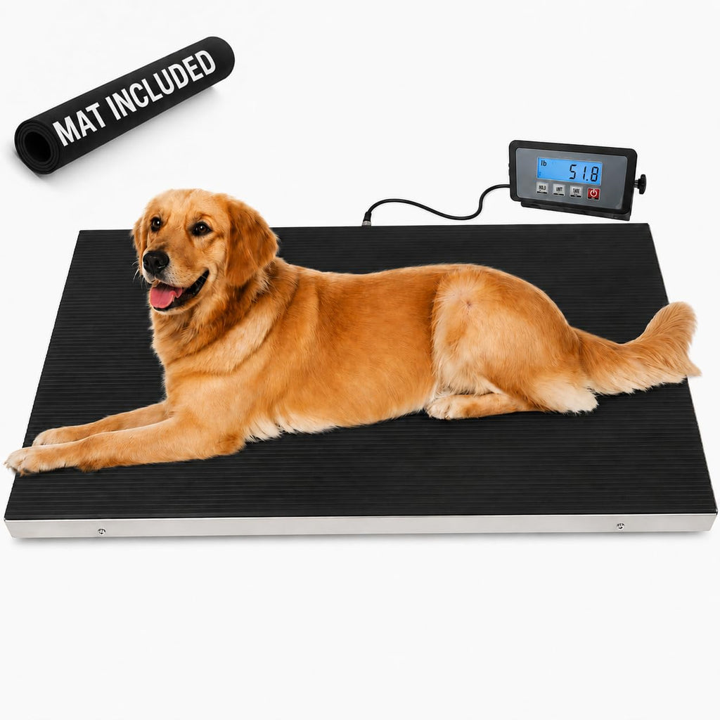 Heavy Duty 660 Pounds Veterinary Dog Scale with Stainless Steel Platform J10728