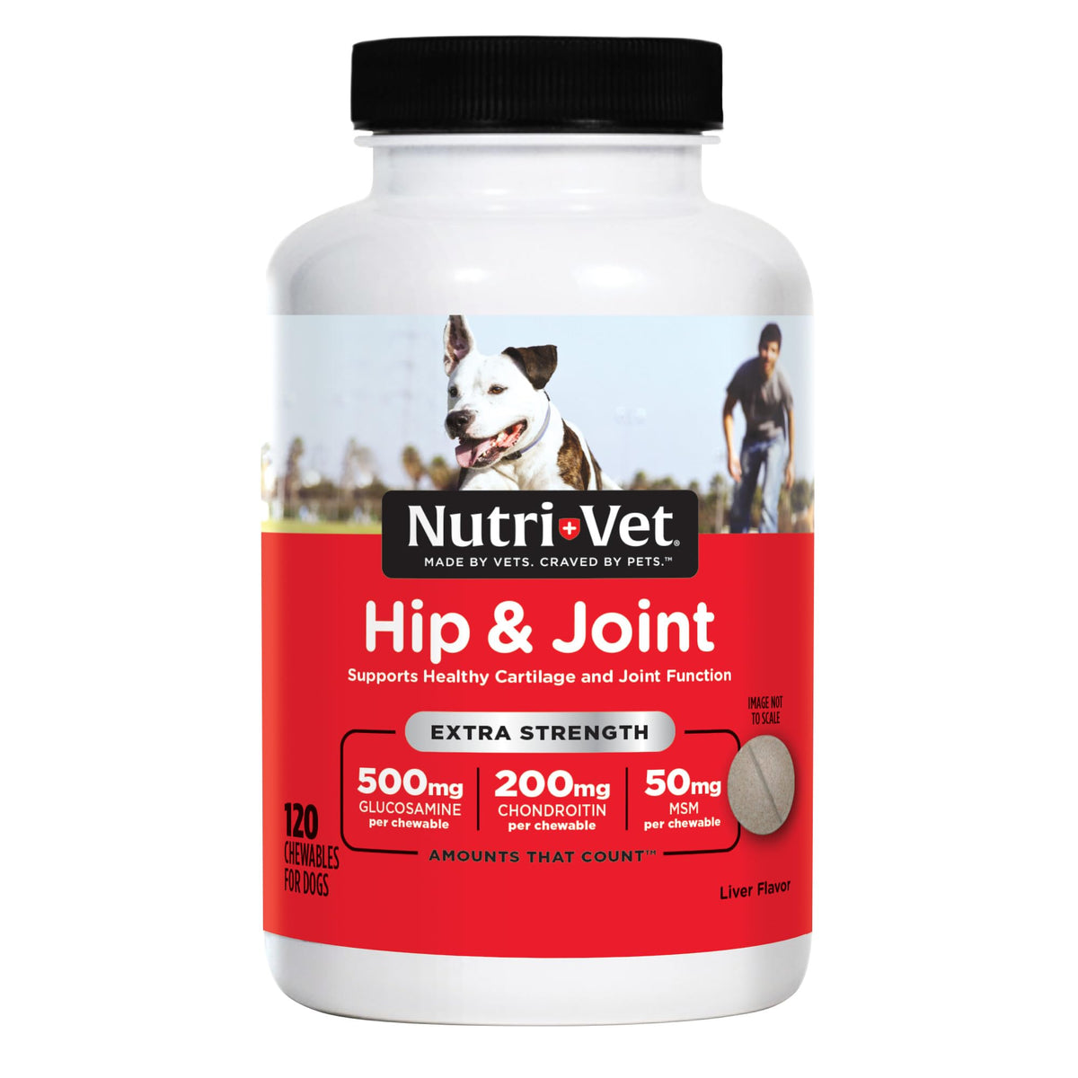 500mg Glucosamine Hip & Joint Supplement, 120 Ct V9788