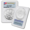 1 oz American Silver Eagle Coin MS-70 I601302