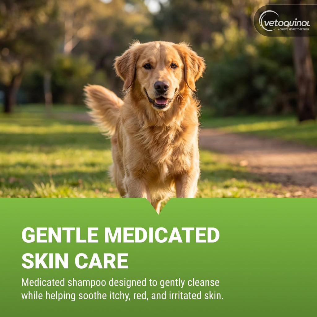Medicated Sulfur Shampoo for Pets, 16 oz J573478