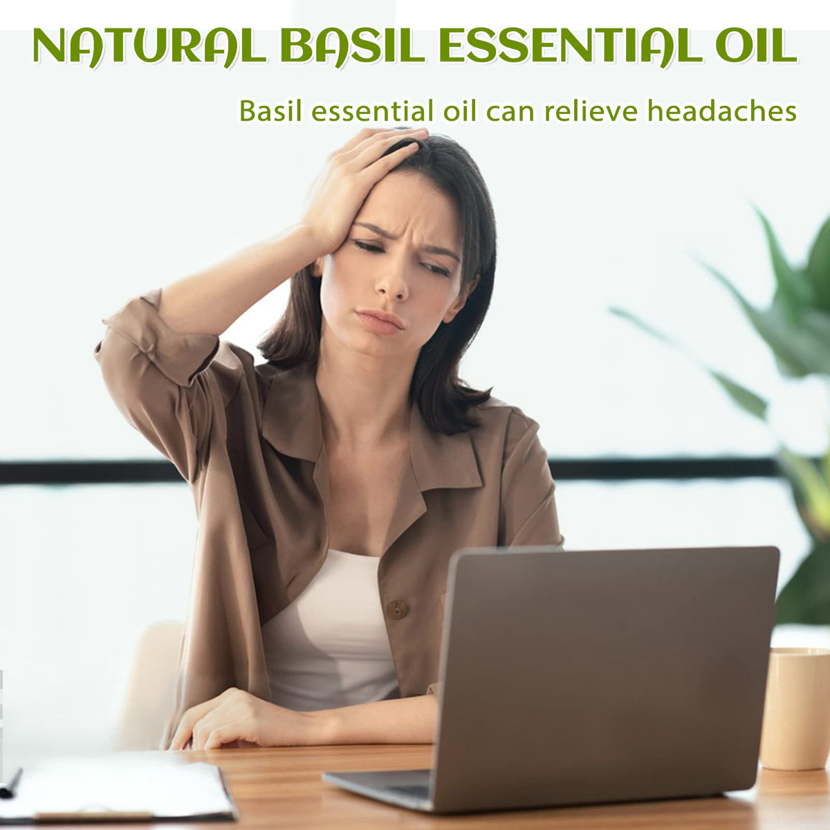 Basil and Lavender Essential Oil 4 Fl Oz S88476