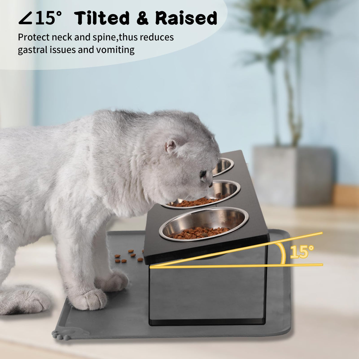 15° Tilted Stainless Steel Elevated Cat Bowls with Food Mat K18030