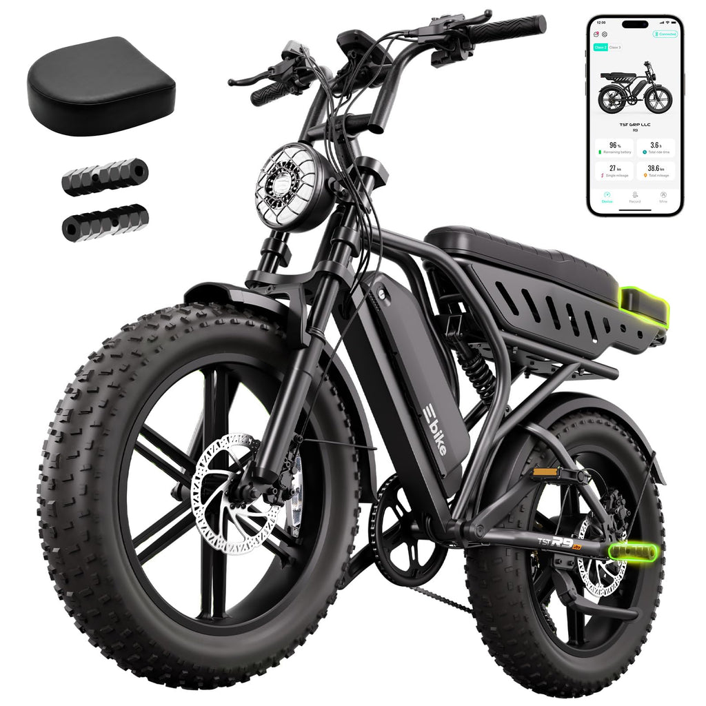 Electric Bike 48V 15Ah Battery 1500W Peak Motor 20 * 4.0 Fat Tire V766