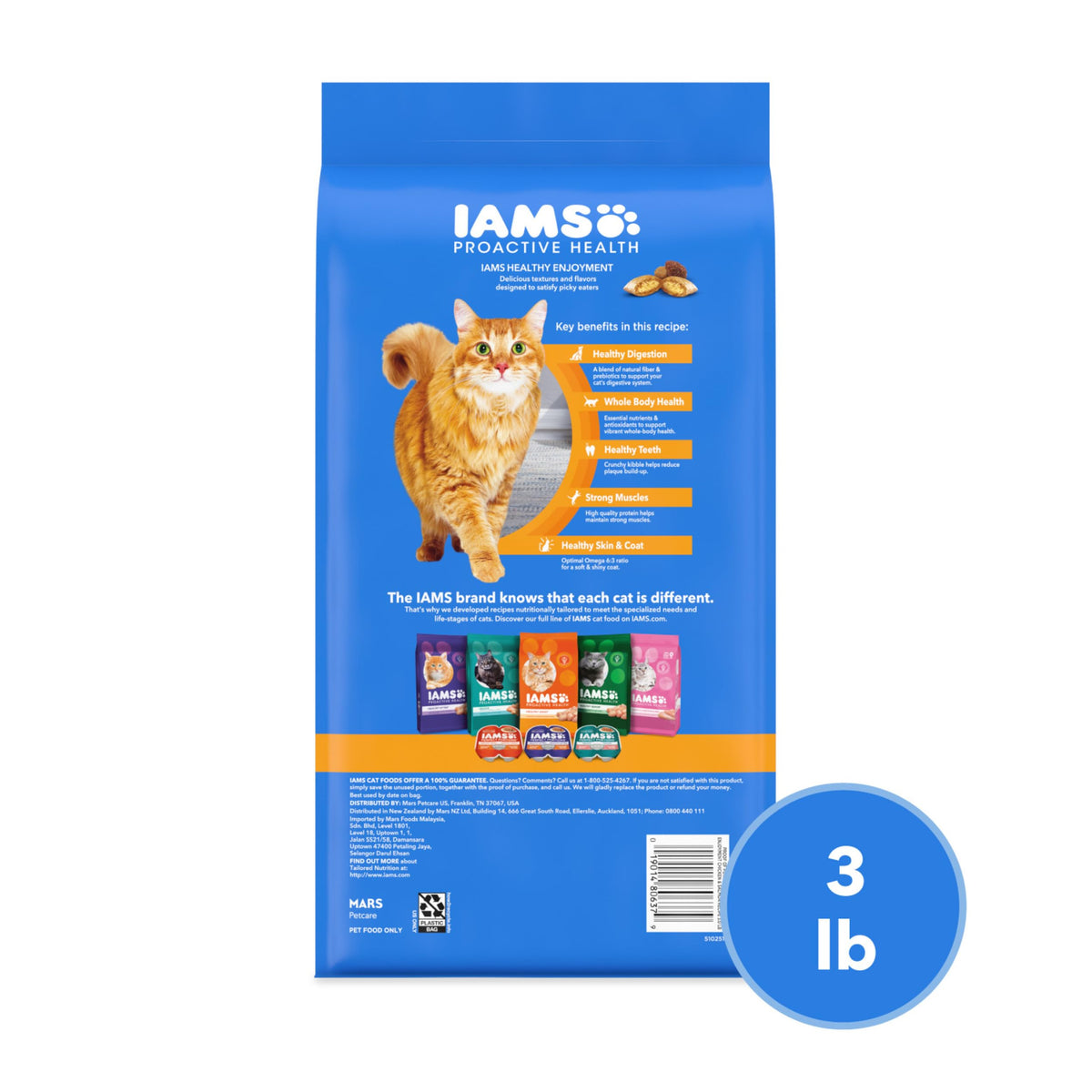 Dry Cat Food Chicken & Salmon Recipe 3 lb I8175