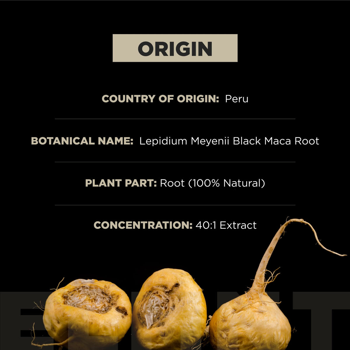 Organic Black Maca Root with Ashwagandha B827