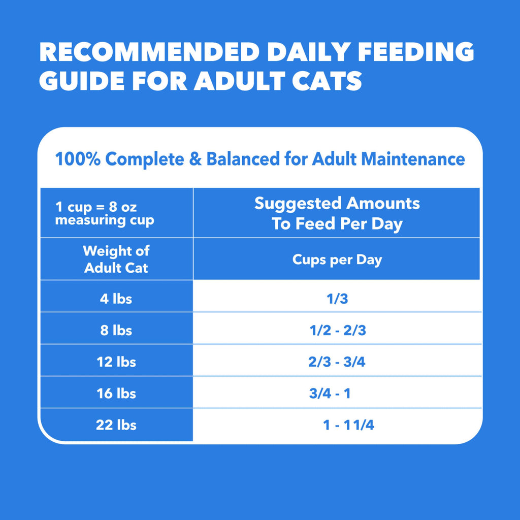 Dry Cat Food Chicken & Salmon Recipe 3 lb I8175