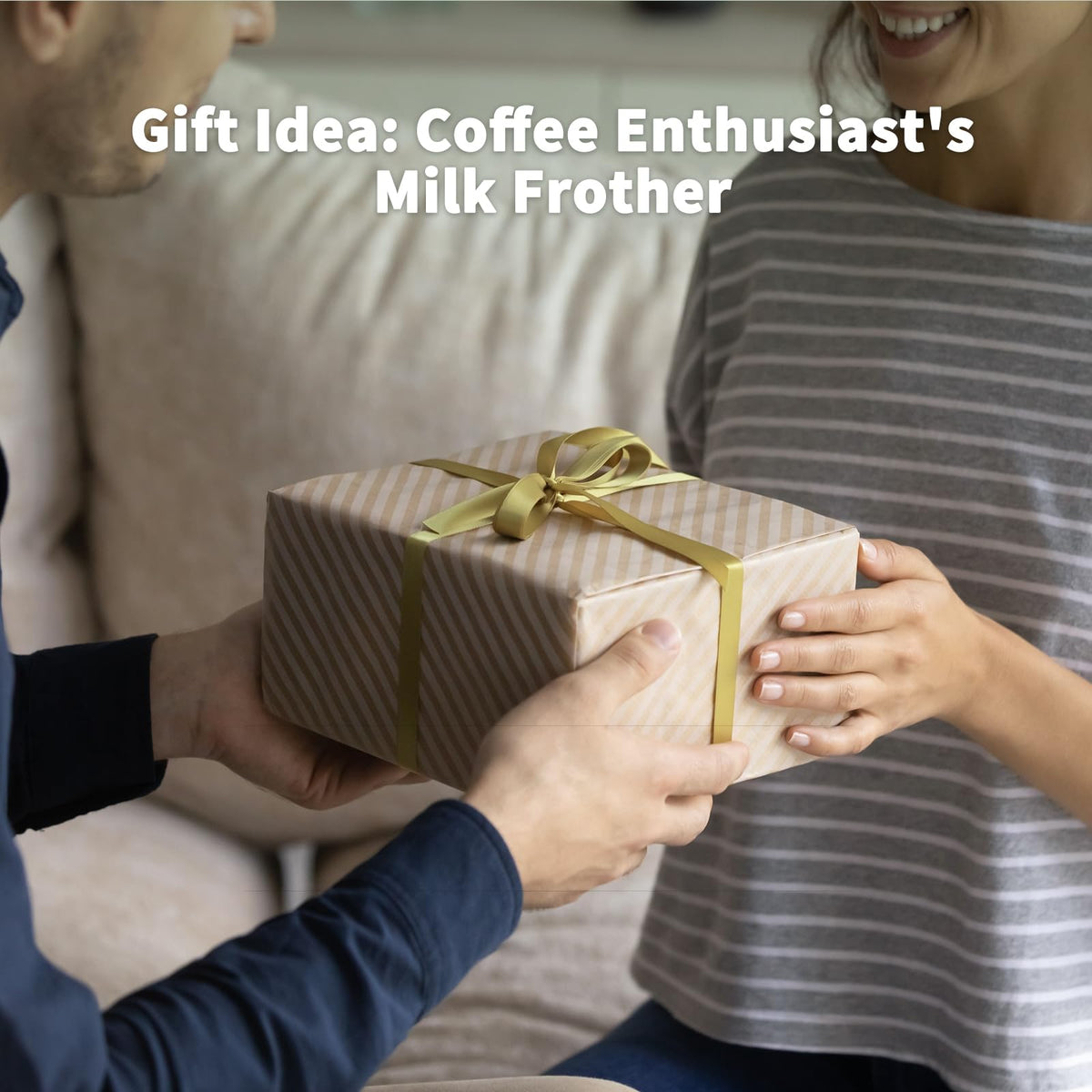 Milk Frother and Steamer 21oz/600mL C16485