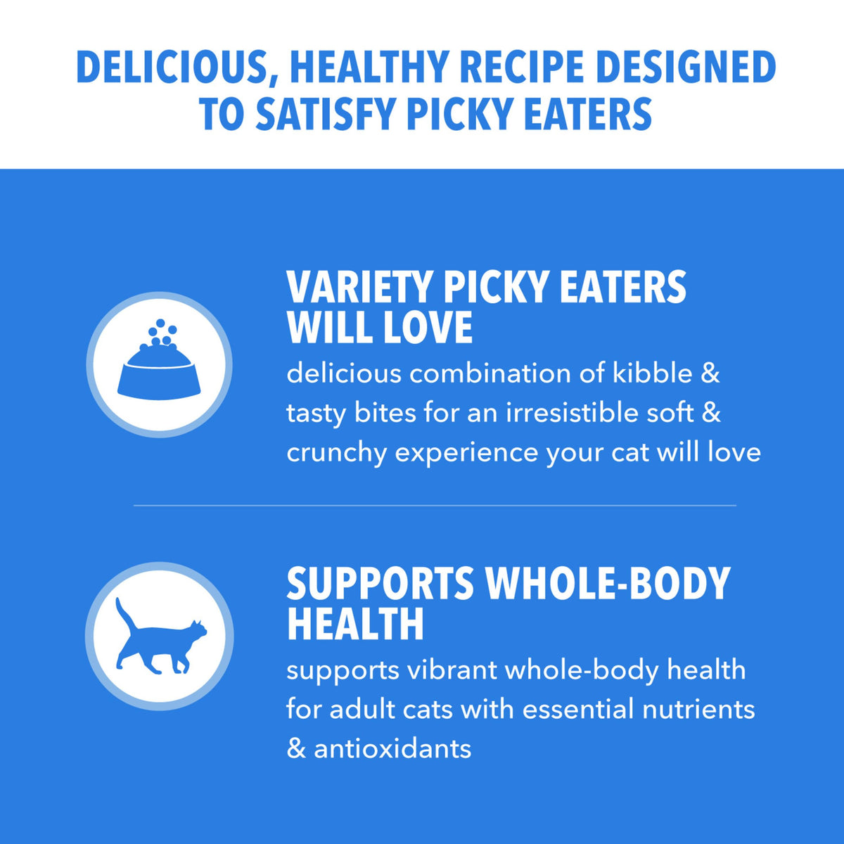 Dry Cat Food Chicken & Salmon Recipe 3 lb I8175