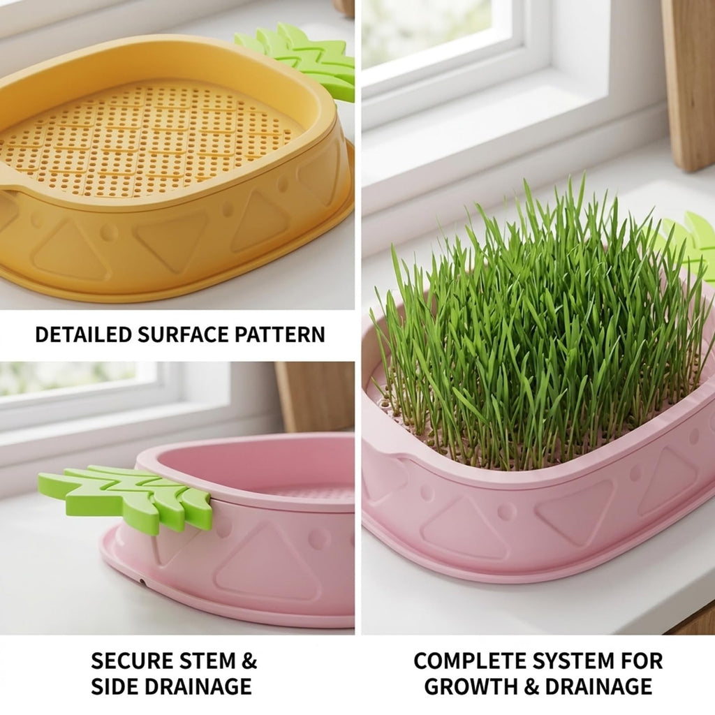 2 Pack Hydroponic Cat Grass Planter R4309