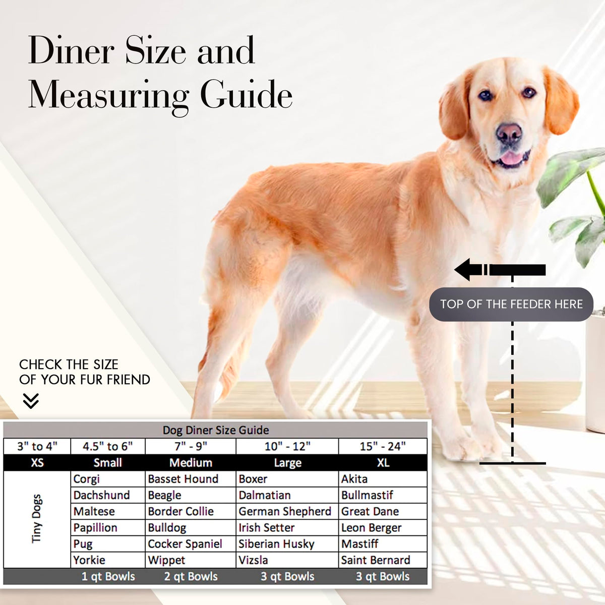 Black Triple Bowl Dog and Cat Feeder Stand with 3-2 Qt Stainless Bowls R4809
