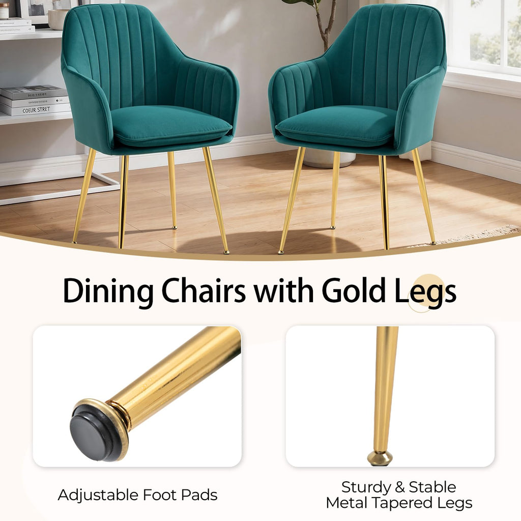 Velvet Accent Arm Chairs Set of 2 with Golden Legs C942254