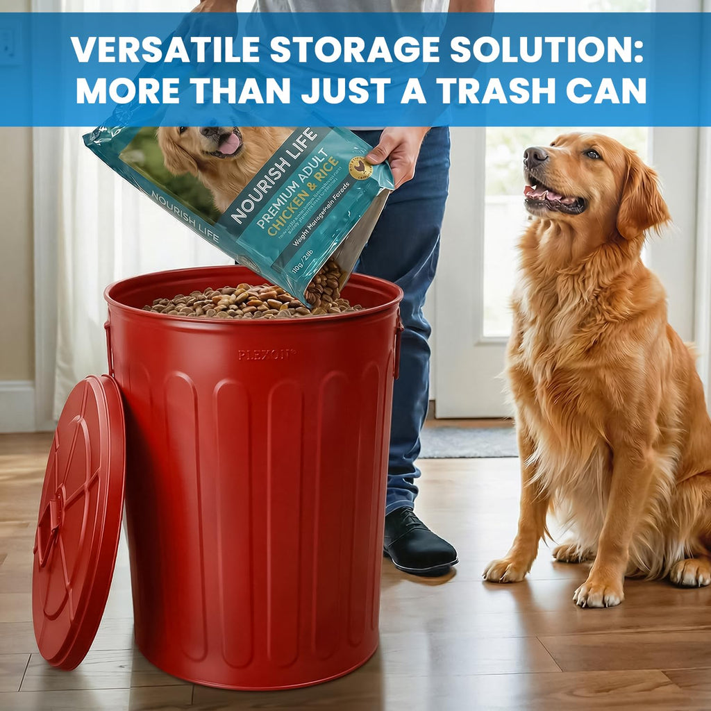 20 Gallon Red Metal Trash Can with Lid N392861