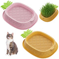 2 Pack Hydroponic Cat Grass Planter R4309