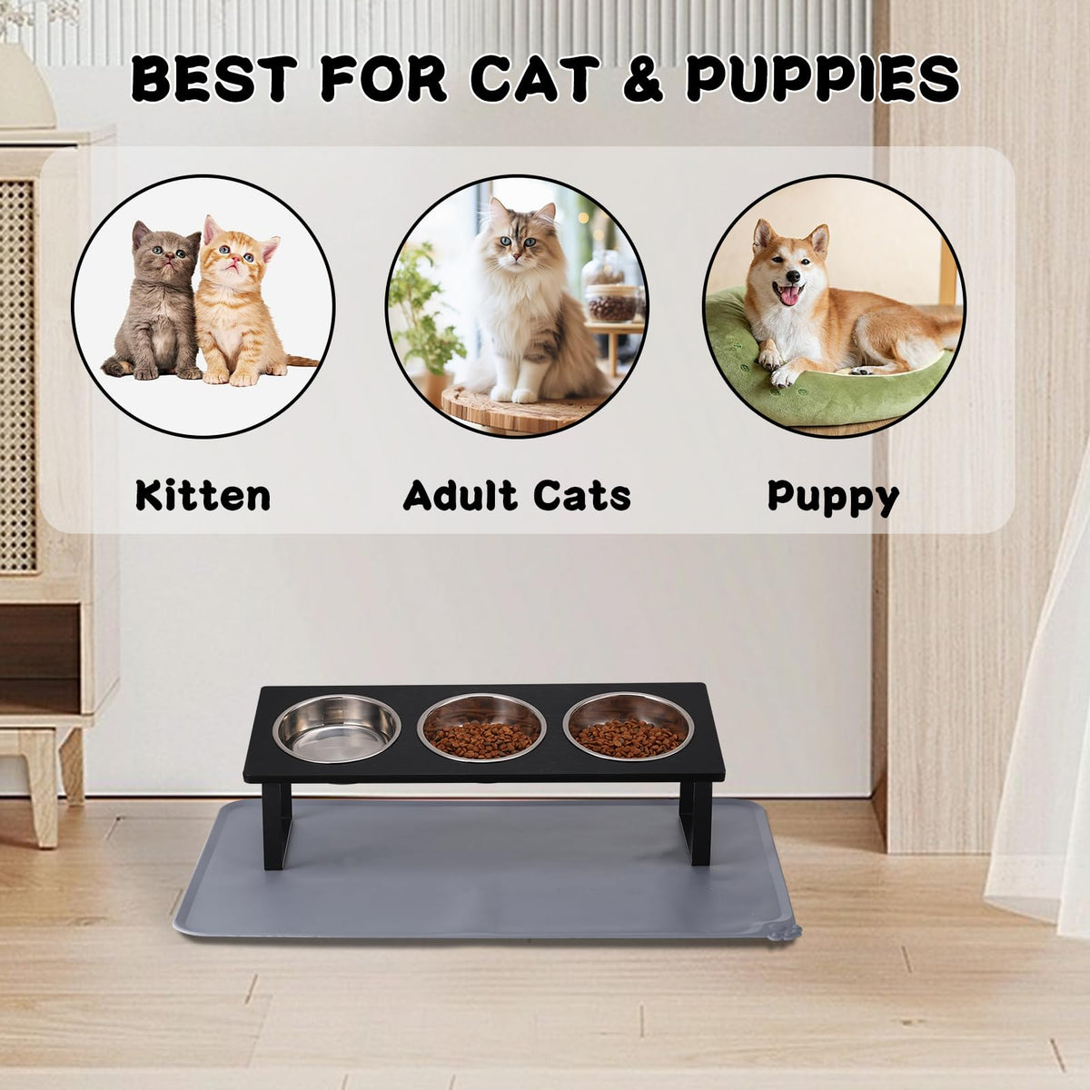 15° Tilted Stainless Steel Elevated Cat Bowls with Food Mat K18030