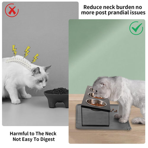 15° Tilted Stainless Steel Elevated Cat Bowls with Food Mat K18030