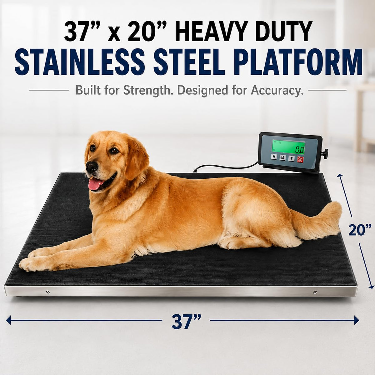 Heavy Duty 660 Pounds Veterinary Dog Scale with Stainless Steel Platform J10728