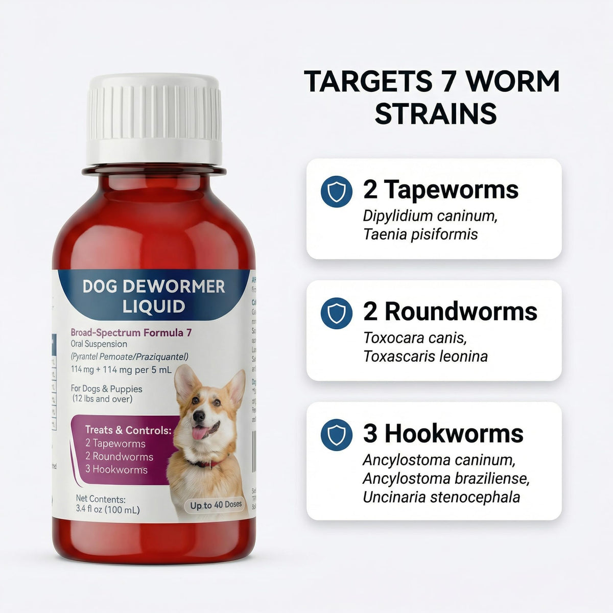 Liquid Dog Dewormer with Dosing Syringe 100ml X1964