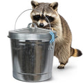 6 Gallon Galvanized Metal Trash Can with Lid O72025