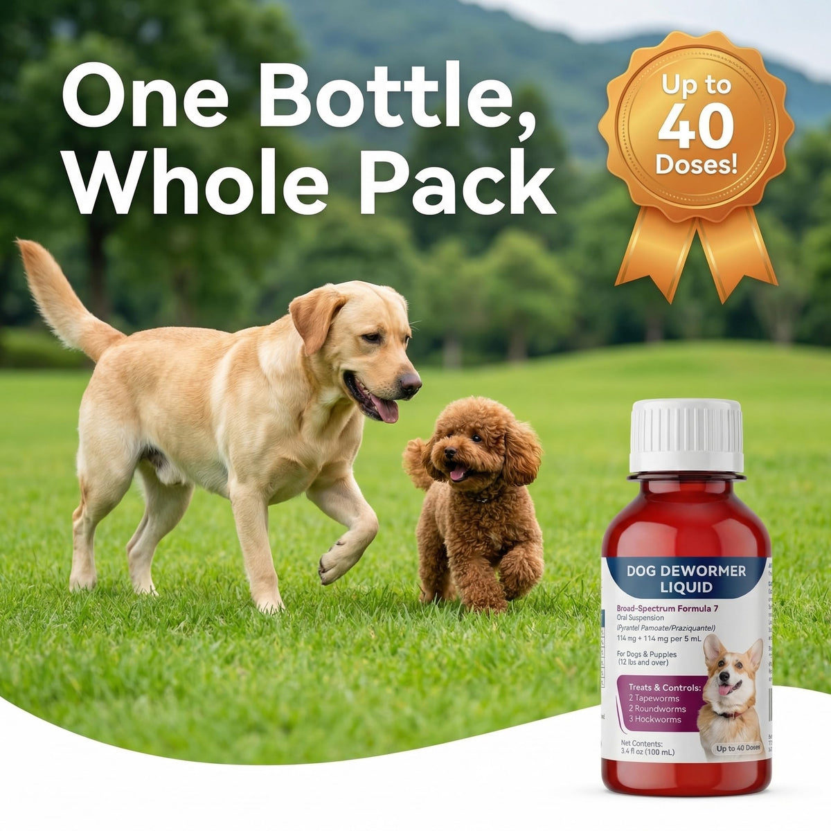 Liquid Dog Dewormer with Dosing Syringe 100ml X1964