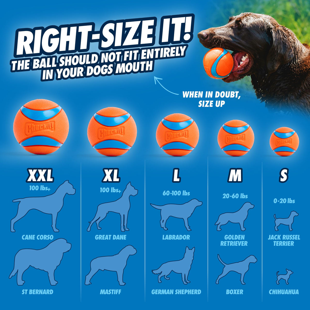 Dog Ball Launcher with 2.5in Ball M45439