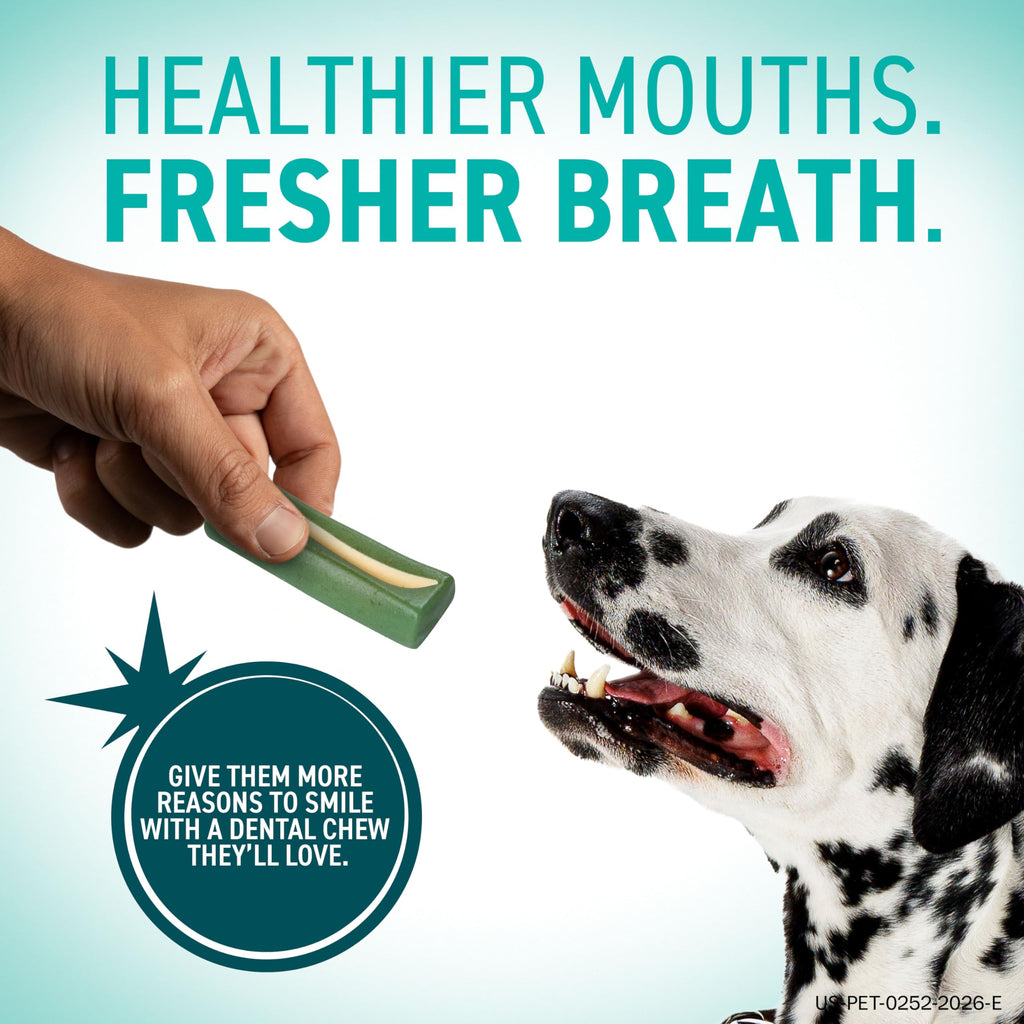Dental Chews for Dogs 30 Count F334