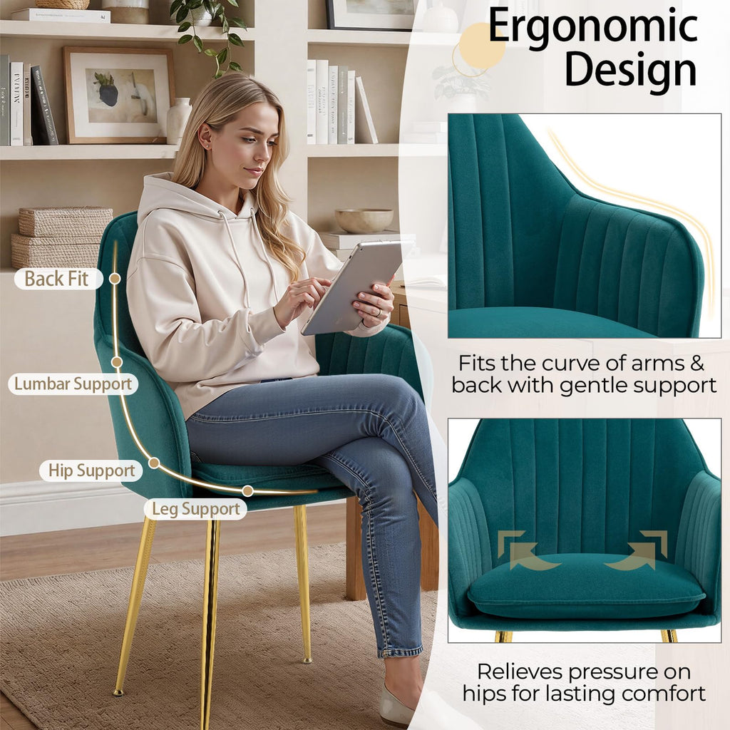 Velvet Accent Arm Chairs Set of 2 with Golden Legs C942254