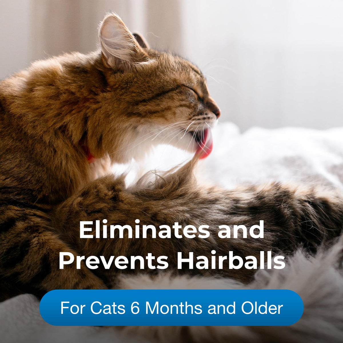 Hairball Gel Supplement for Cats 3.5 oz Pack of 2 Z609