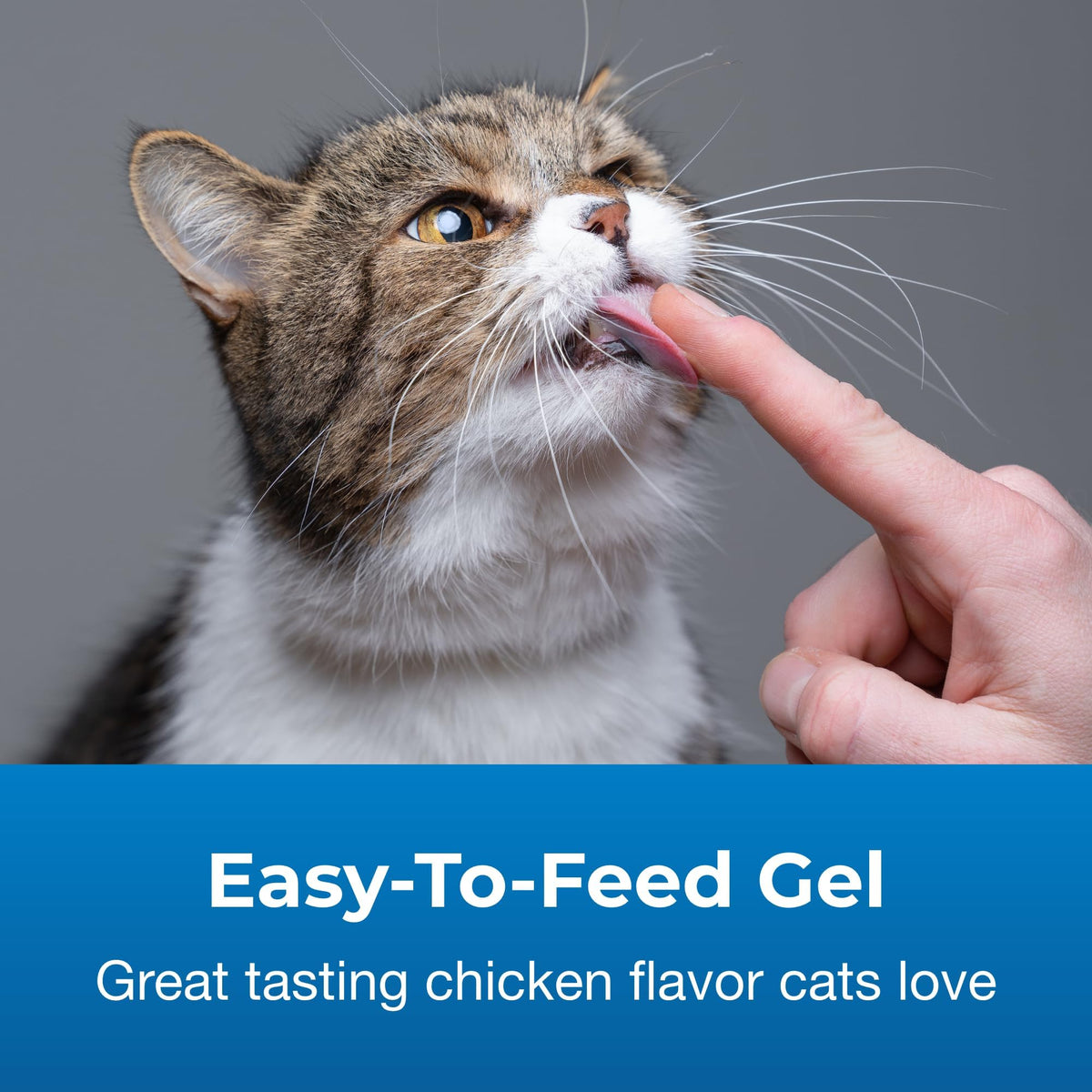 Hairball Gel Supplement for Cats 3.5 oz Pack of 2 Z609