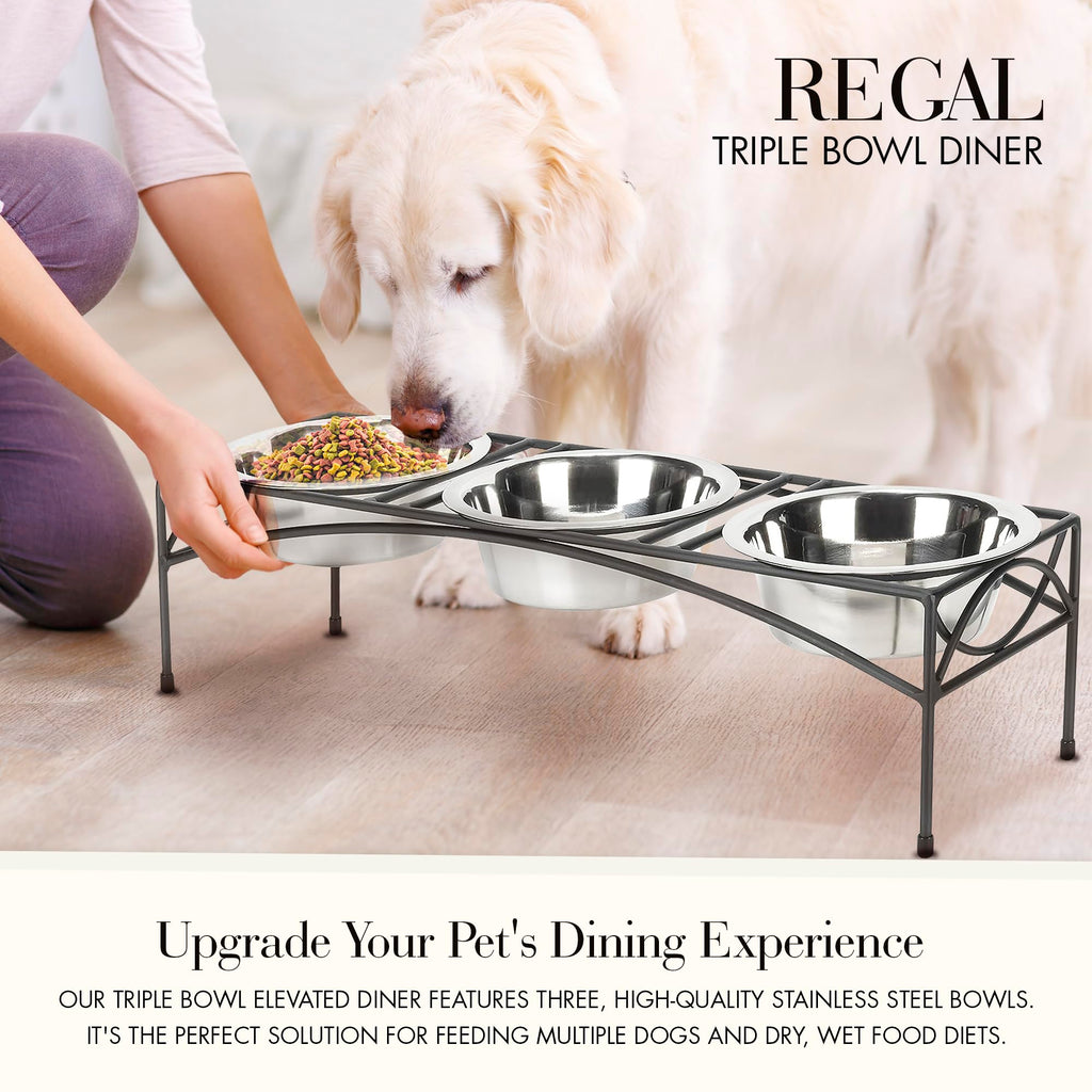 Black Triple Bowl Dog and Cat Feeder Stand with 3-2 Qt Stainless Bowls R4809