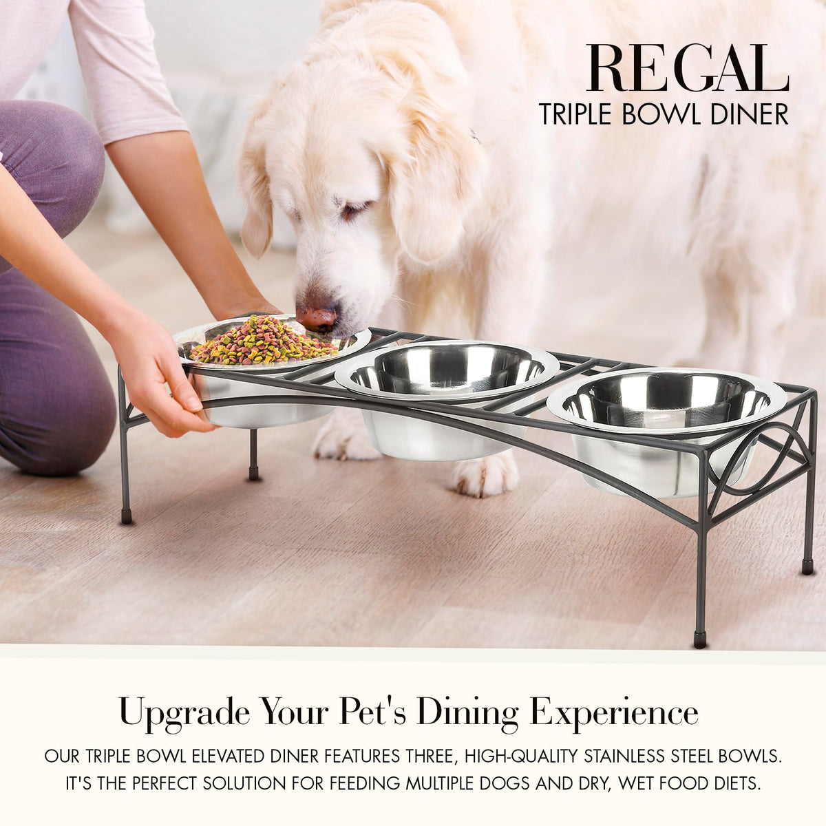 Black Triple Bowl Dog and Cat Feeder Stand with 3-2 Qt Stainless Bowls R4809