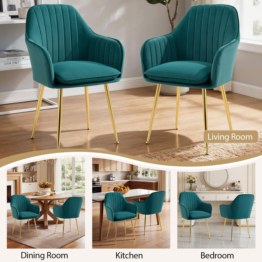 Velvet Accent Arm Chairs Set of 2 with Golden Legs C942254