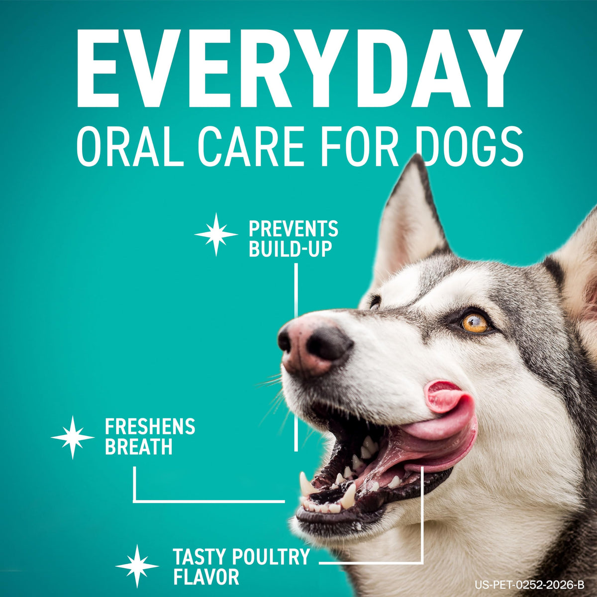 Dental Chews for Dogs 30 Count F334