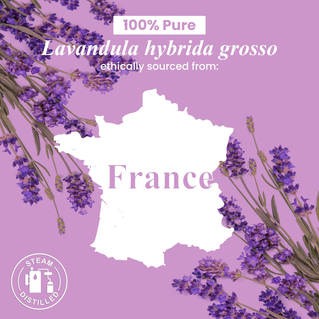 Lavender and Spearmint Essential Oils 2 x 4 Fl Oz E6208