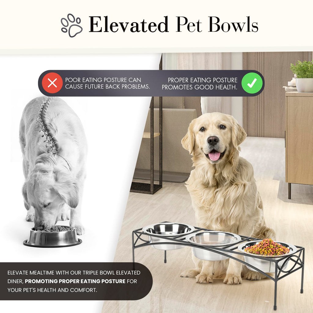 Black Triple Bowl Dog and Cat Feeder Stand with 3-2 Qt Stainless Bowls R4809