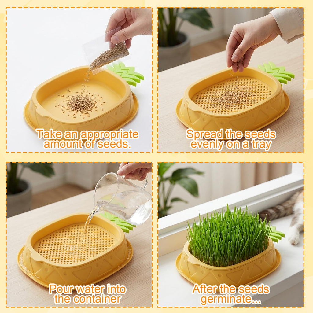 2 Pack Hydroponic Cat Grass Planter R4309