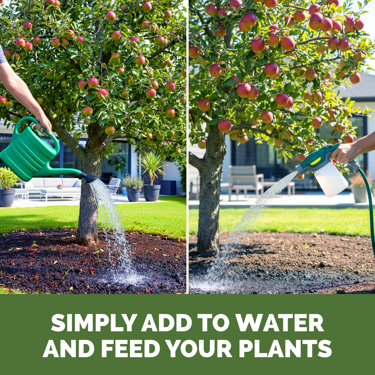 Liquid Plant Food 1 Gallon D2397
